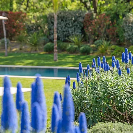 Villa Exceptional Villa- Ac- 5br-10p- Baie Des Canebiers Saint-Tropez
